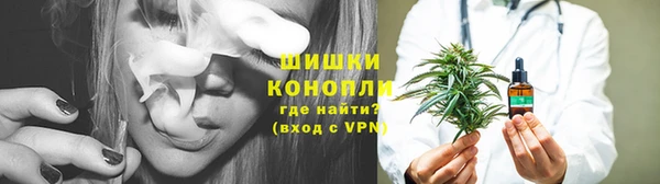 кокс Аша