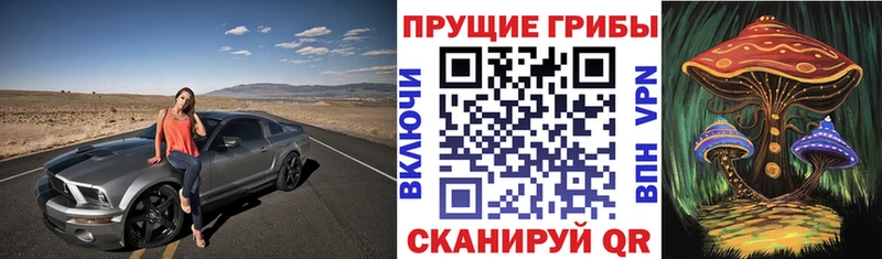 Псилоцибиновые грибы Psilocybe  где купить наркотик  MEGA вход  Порхов 